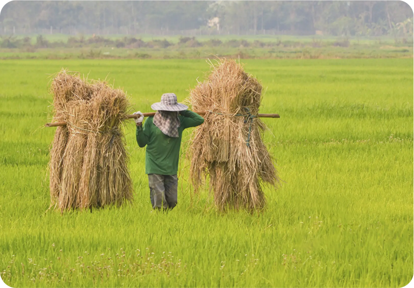 support_farmers